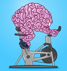 Does Brain Fitness Program Work